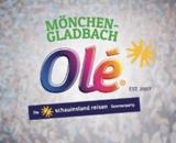 Mönchengladbach Ole Logo