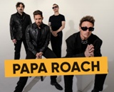 Papa Roach @Biggesee Open Air Logo